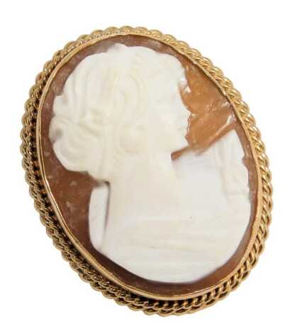 A 9ct gold framed shell cameo brooch, depicting a maiden-looking dexter, in a rub-over border with twist setting, on a single pin back, 2.5cm x 3cm, 5.6g all in.