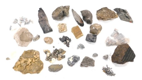 A quantity of unpolished fossils, etc.