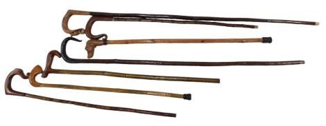 Various walking sticks and shepherd's crooks, including a dog handle walking stick, crooks. (11)