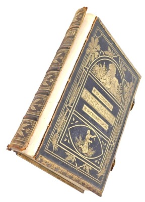 The Life and Explorations of David Livingstone LLD, in a leather bound brass and gilded binding, with figures and lions, with front coloured plate, printed by Adam & Co of London.