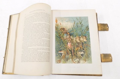 The Life and Explorations of David Livingstone LLD, in a leather bound brass and gilded binding, with figures and lions, with front coloured plate, printed by Adam & Co of London. - 5