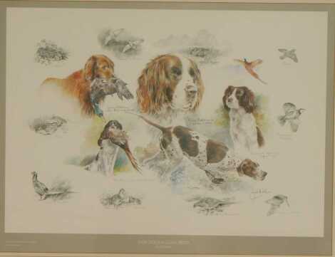 After Joel Kirk. Gun Dogs and Game Birds, signed limited edition print number 52/850, 46cm x 63cm.