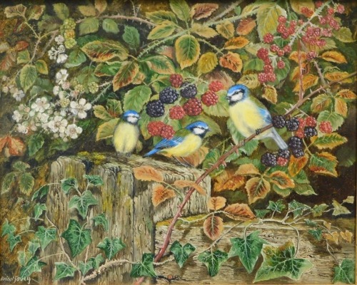 Brian Tovey (b.1943). Eurasian blue tits, oil on canvas, signed, 19.5cm x 24cm.