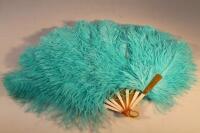 An ostrich blue feather fan