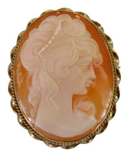 A 9ct gold shell cameo brooch, the oval cameo depicting a maiden facing dexter, in a rub-over setting, with double rope twist border, on a single pin back, 3cm x 4cm, 8.1g all in.