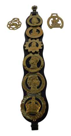 British Monarch related martingales, to include George V, George VI, Elizabeth II Coronation, etc., on leather strap, together with a John Peel horse brass, and a further horse brass depicting fish.