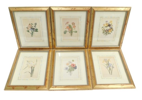 A set of limited edition prints after Redoute, produced by The National History Museum, each printed with a specimen of flower. (6)