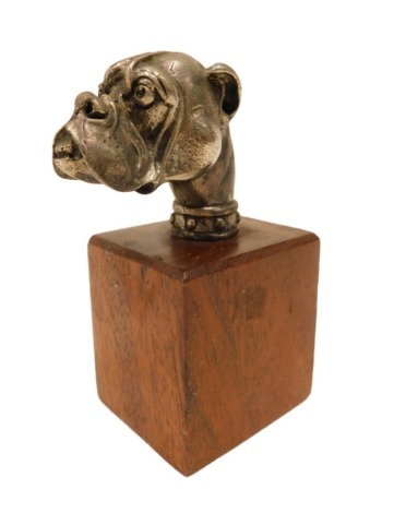 A silver coloured metal walking stick or parasol handle, modelled as the head of a Bulldog or Mastiff, on wooden plinth, 11cm high.