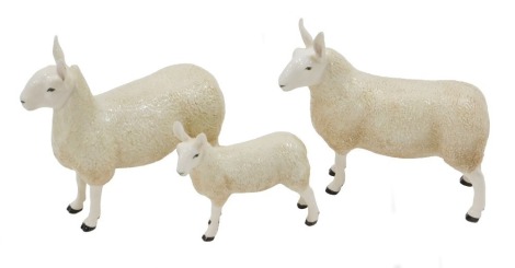 Three Border Fine Arts pottery company figurines, Leicester ram, Leicester Ewe, and Leicester Lamb, all boxed.