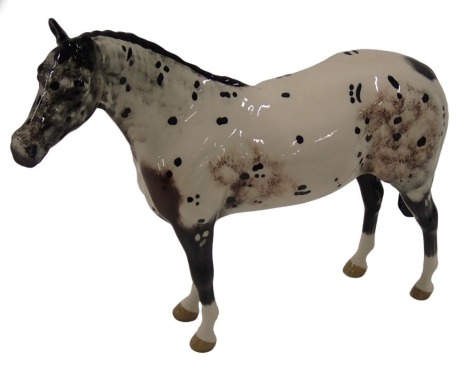 A Beswick ceramic appaloosa stallion, with white socks, printed marks to underside, 20cm high.