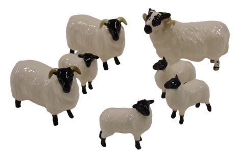 A collection of seven Beswick sheep and lambs, to include a ram.