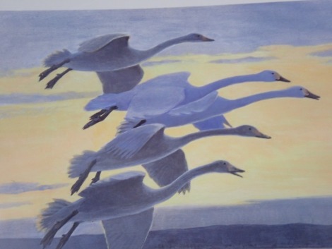 Peter Scott. Wild Swan Family Arriving on the Estuary, artist signed limited edition print, 50cm x 59cm.