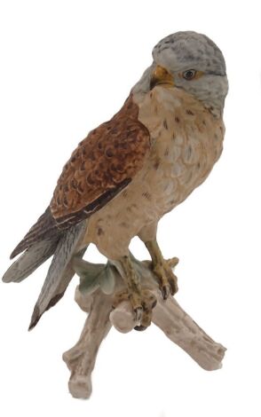 A Goebel ceramic figure of a Falcon, seated on a perch, 22cm high.