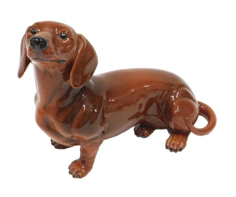 A large Beswick model of a Dachshund, 35cm wide.