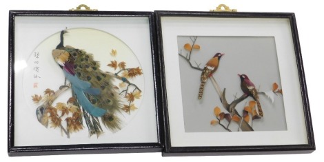 A pair of Oriental feather pictures, one in the form of a peacock, in modern frames, 30cm x 30cm overall.