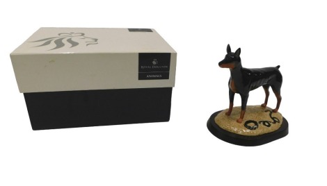 A Royal Doulton figure of a Dobermann from the Working Dog Collection, on oval base, boxed.