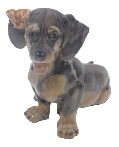 A Royal Copenhagen porcelain figure of a Dachshund, 19cm high.