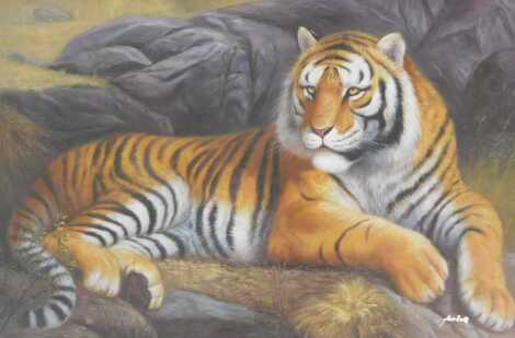 Late 20thC School. Study of a recumbent tiger, oil on canvas, signed indistinctly, 59cm x 89cm.