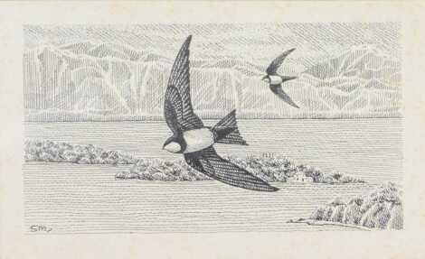 Stephen Meisage. Alpine swift, pen and ink, initialled, 7cm x 12cm.