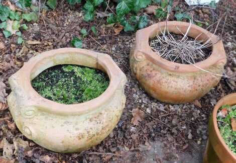 A quantity of terracotta garden pots, various sizes.