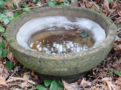 A low reconstituted stone bird bath, 57cm diameter.