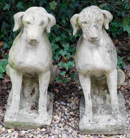 A pair of reconstituted stone hounds, each on a rectangular base, 72cm high.