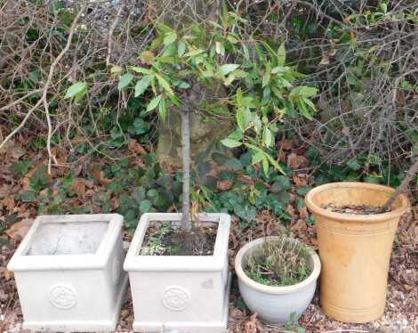 A pair of square composition pots, each decorated with a roundel, and two other pots. (4)