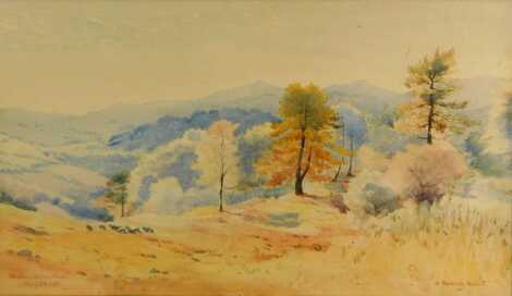 Dudley Richardson (1862-1929), Near Newton Abbot, watercolour, signed and dated May 24th 1921, 26cm x 45cm.