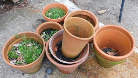 A quantity of terracotta garden pots, various sizes.