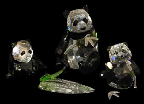 A Swarovski Crystal Endangered Wildlife 2008 Edition Panda Set, comprising panda 10cm high, cub 5cm high, (AF), together with a further cub, 6cm high, and an Endangered Wildlife 2008-2010 plaque, boxed. Upon initial inspection the leaves to the bamboo sho