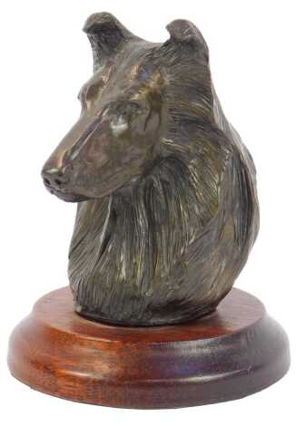 After Douglas Grey. A bronzed bust of a Shetland Sheepdog, signed, on a wooden stand, 10cm high.