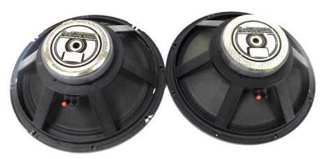 A pair of McKenzie Professional Series loud bass speakers, model C15-100.