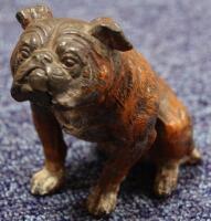 A late 19thC Austrian cold painted spelter figure of a bull dog