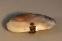 A mussel shell purse