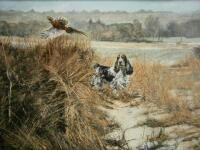 ‡Henry Wilkinson (1921-2011). Spaniel picking up pheasant