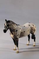 A Beswick model of a Appaloosa Stallion