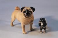 A Beswick figure of a Pug (Cutmil) Cuttie