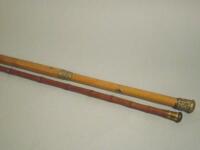 Two cane walking sticks