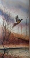 J. Wantulok. Pheasant taking flight