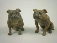 A pair of cast spelter bull dog figures