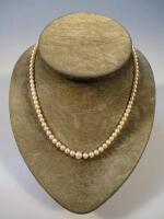 A single strand cultured pearl necklace