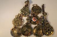 Various individual horse brasses on leather mounts.