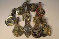 Various individual horse brasses