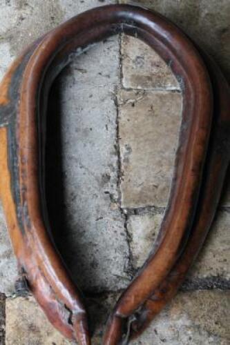 A horse brown leather collar