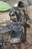 A late 19thC / early 20thC horse bridle