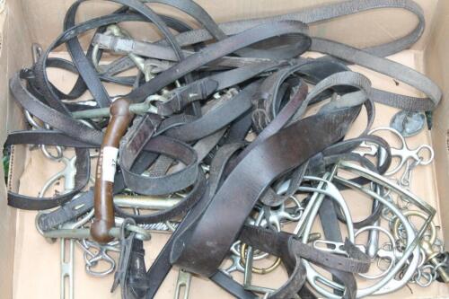 Various bridles