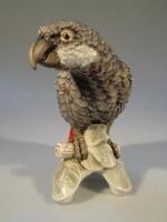 A Goebel figure of a grey parrot