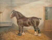 Albert Clarkson (19th/20thC). Sergeant VI Winner 2nd Prize Shire Show