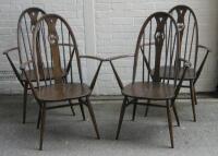 A set of four Ercol carver chairs.