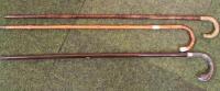 A 19thC walking cane with eagle handle stamped 800 and two other walking canes.